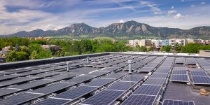Top 10 Best Solar Panel Manufacturers & Suppliers in USA